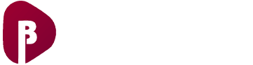 Avada SEO
